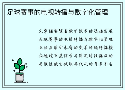 足球赛事的电视转播与数字化管理