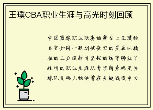 王璞CBA职业生涯与高光时刻回顾