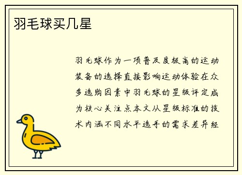 羽毛球买几星
